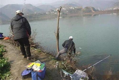 十秒一杀小药钓鱼视频