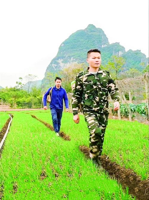 在农视频,农业科技与智慧农业的视觉盛宴