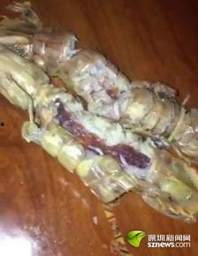 网虾视频,揭秘网络短视频的魅力与影响