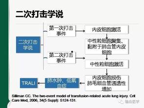 输血流程视频,从采集到输注的规范化操作